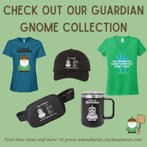 Guardian Gnome Collection