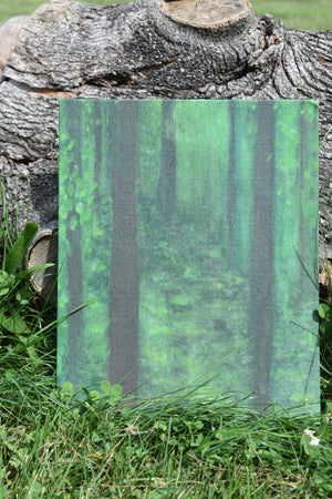 Holly's Woods