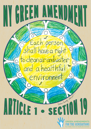 Exclusive New York Green Amendment Poster